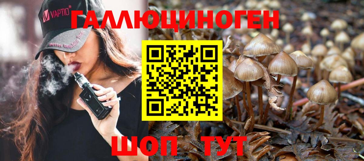 Псилоцибиновые грибы Cubensis  Вход с VPN  Надым 