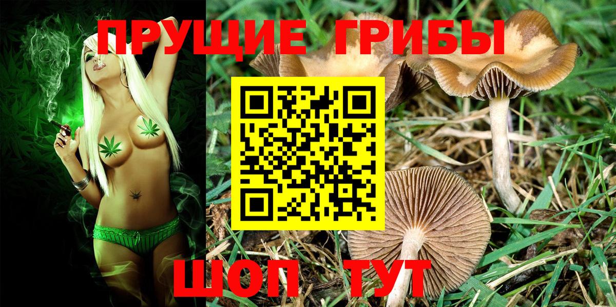 Псилоцибиновые грибы мицелий Надым
